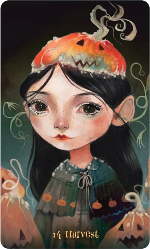 Гадальные карты U.S. Games Systems Wisdom of the Wild Things Oracle Cards / WWTH45 — фото 6