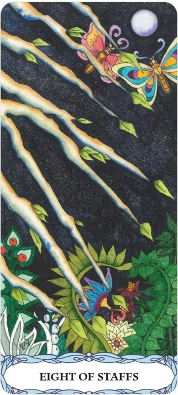 Гадальные карты U.S. Games Systems Borderless Tarot of a Moon Garden / BTMGS99 — фото 6