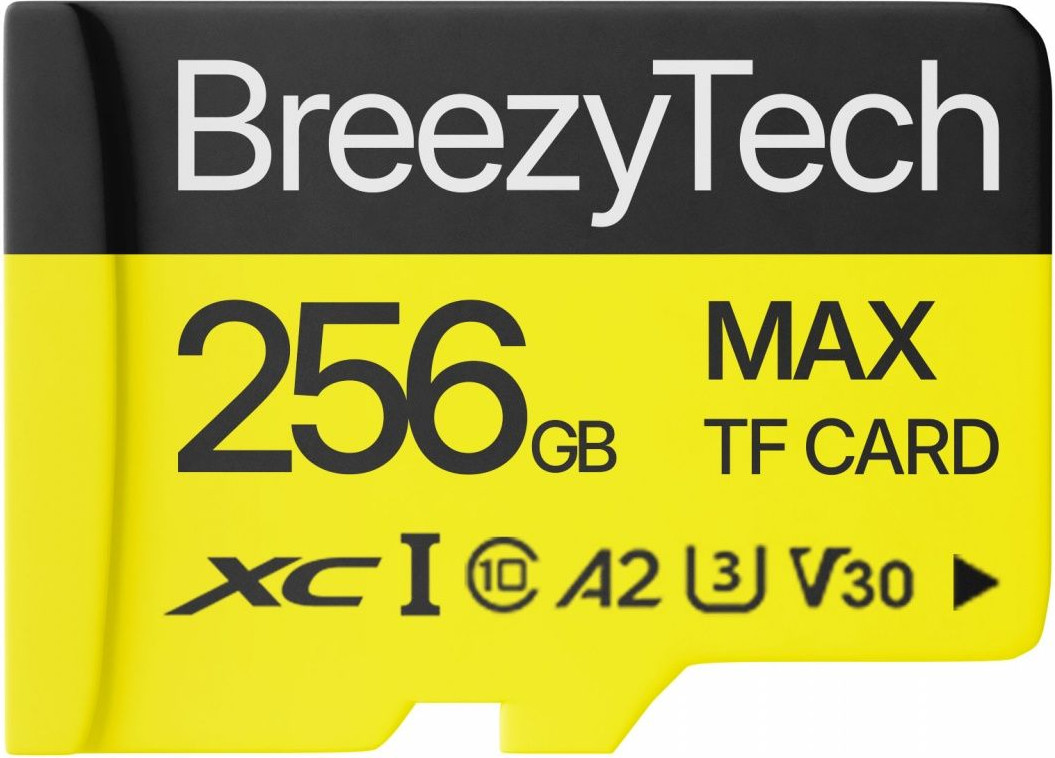 Карта памяти BreezyTech Max MicroSD 256GB Class 10 (без адаптера)