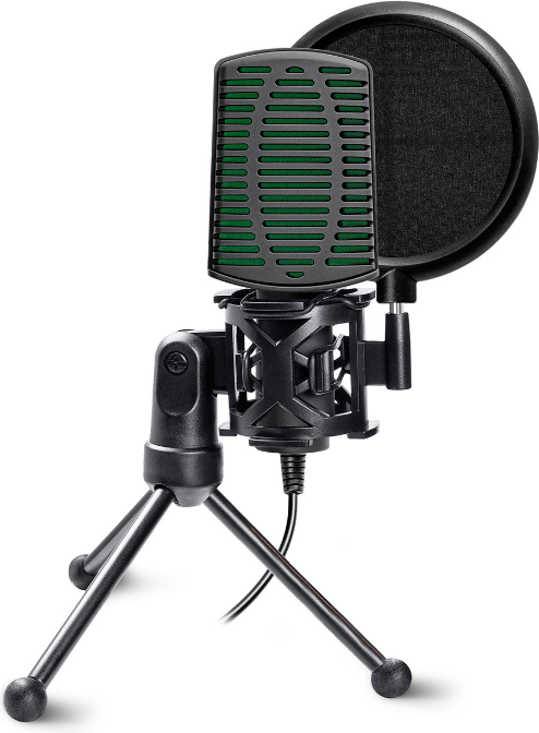 Микрофон Ritmix RDM-126 Pro (черный/зеленый) — фото 3