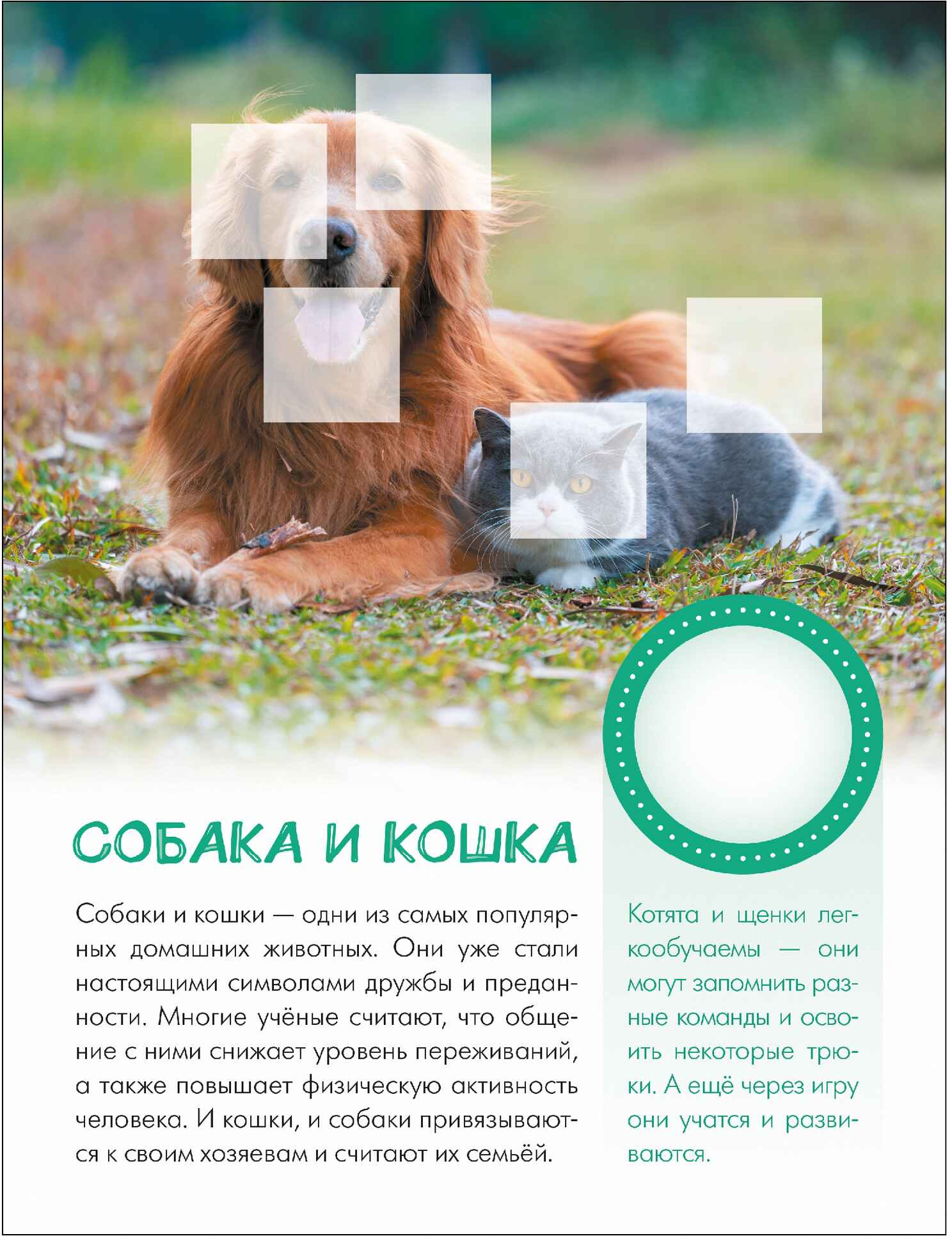 Развивающая книга Мозаика-Синтез Мир животных с наклейками. Кто живет в деревне?, мягкая обложка (МС14553) — фото 5