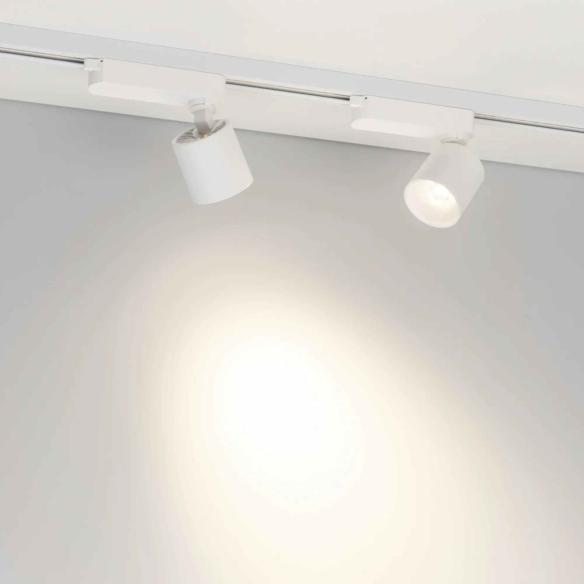 Трековый светильник Arlight LGD-DYKE-2TR-R60-8W Day4000 WH 20 deg / 052149 — фото 3