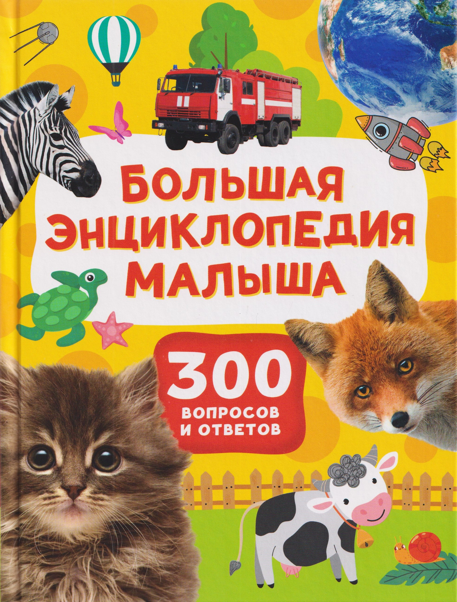 Энциклопедия Росмэн Большая энциклопедия малыша. 300 вопросов и ответов (9785353117827)