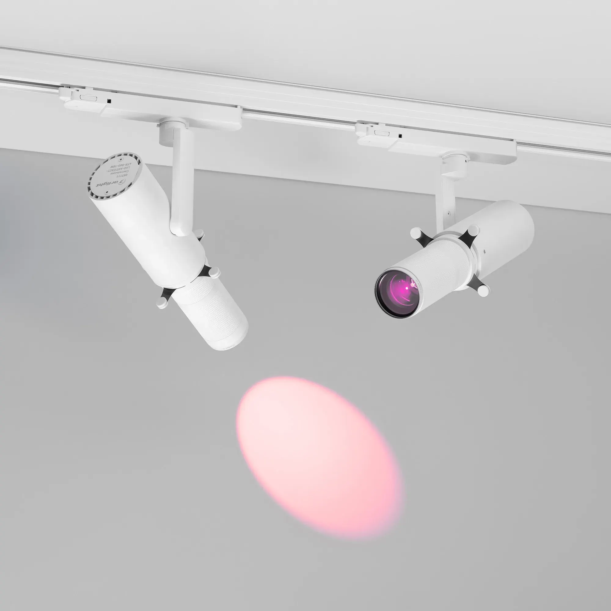 Светофильтр для трекового светильника Arlight LGD-ARTIFACT-COLORFUL-FRAME-R55 WH-PN / 057132 — фото 2