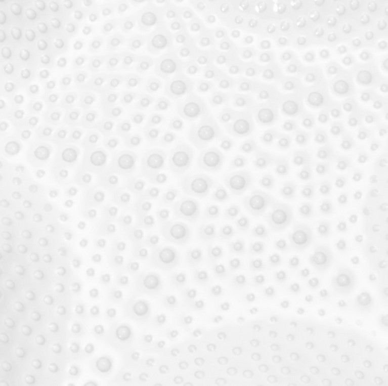 Блюдо Fissman Sea Shell / 13563 — фото 5