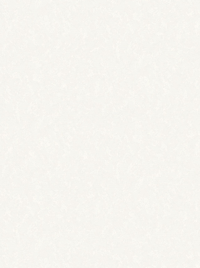Виниловые обои Аспект 10142-11