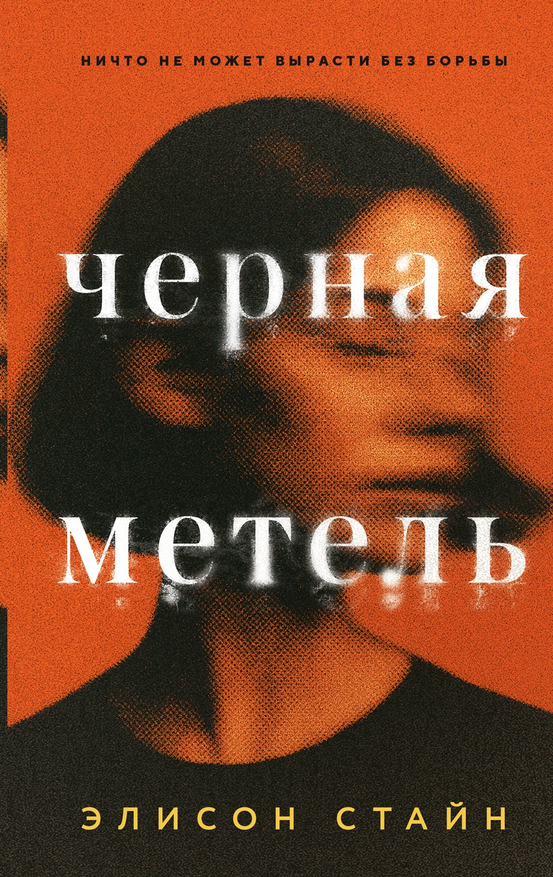 Художественная книга Азбука Черная метель, твердая обложка (Стайн Элисон)