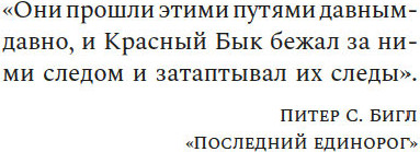 Художественная книга Азбука Черная метель, твердая обложка (Стайн Элисон) — фото 4