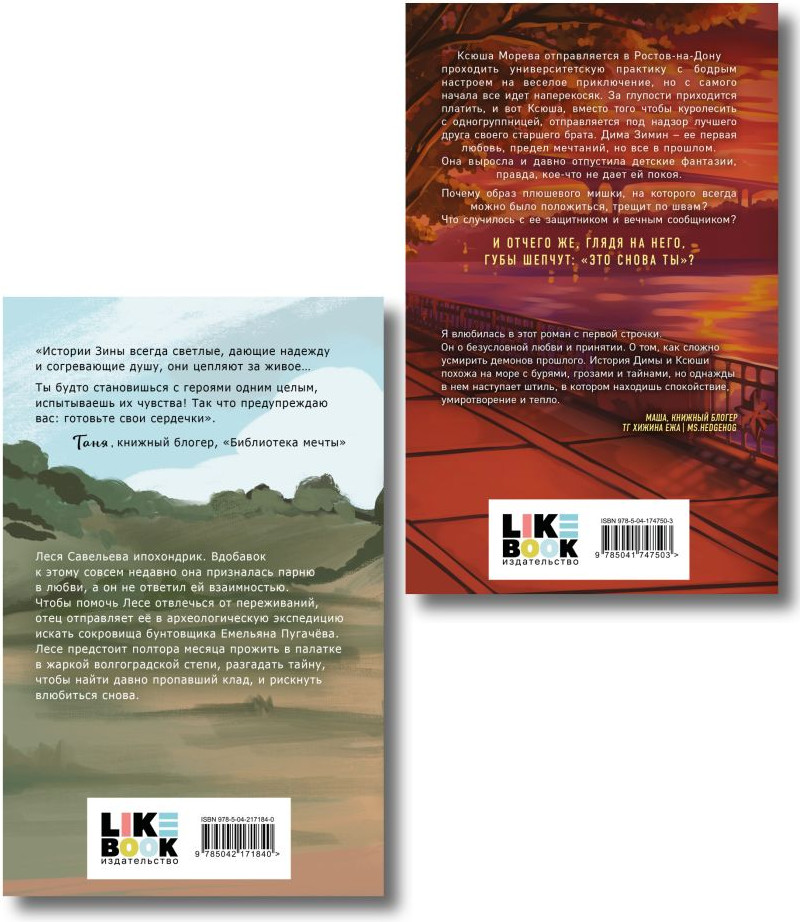 Набор художественных книг Like Book Это снова ты. Поиск сокровищ, твердая обложка (Хилл Алекс, Кузнецова Зина) — фото 6