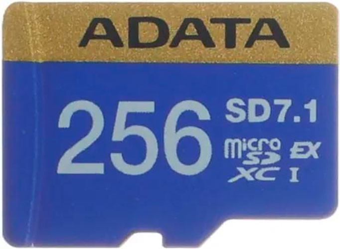 Карта памяти A-data Premier Extreme V30 microSDXC 256GB (UD256GEX3L1-C)