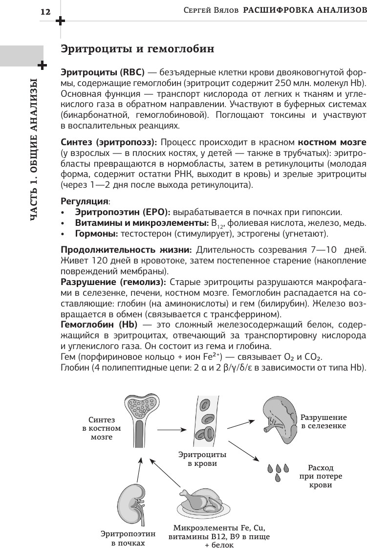 Книга АСТ Расшифровка анализов: лабораторная диагностика (Вялов Сергей 9785171792510) — фото 4