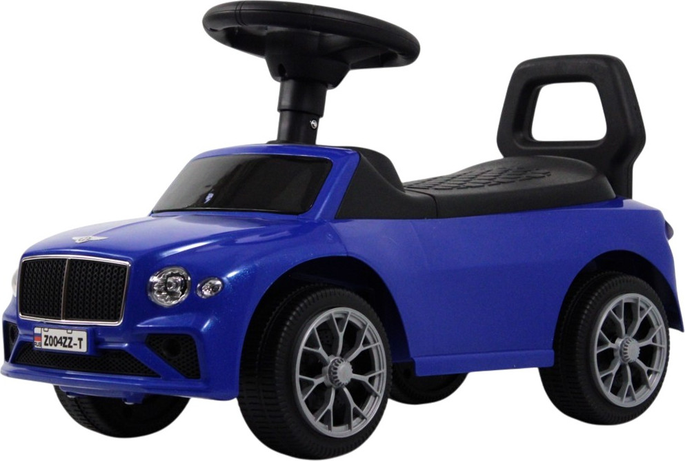 Каталка детская RiverToys Z004ZZ-T (синий)