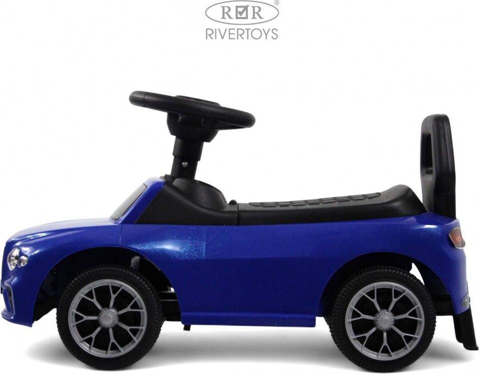 Каталка детская RiverToys Z004ZZ-T (синий) — фото 3