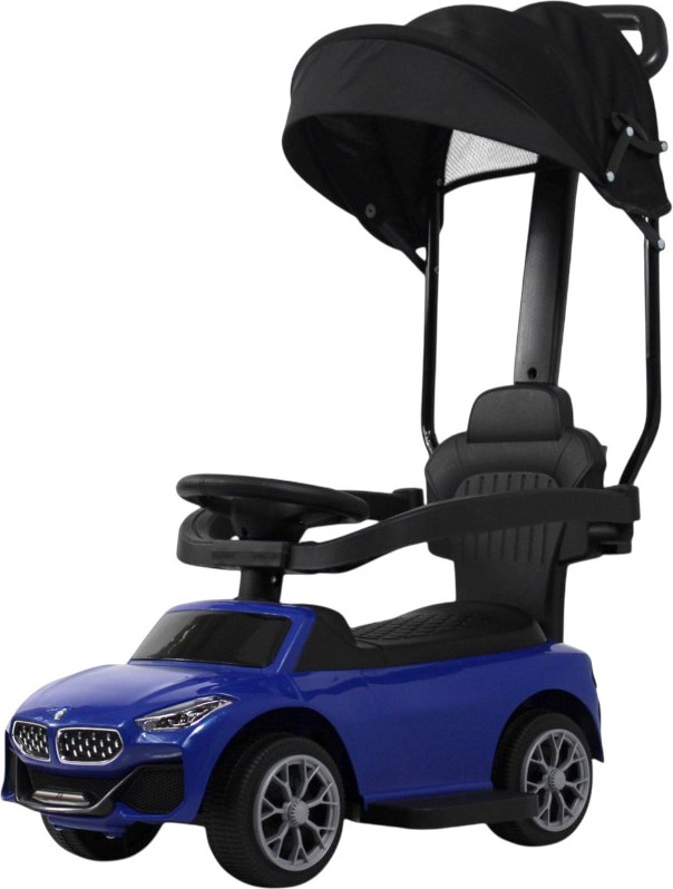 Каталка детская RiverToys Z005ZZ-B (синий)