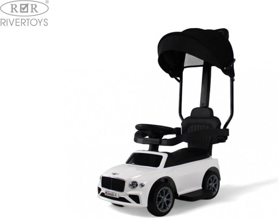 Каталка детская RiverToys Z005ZZ-T (белый) — фото 4