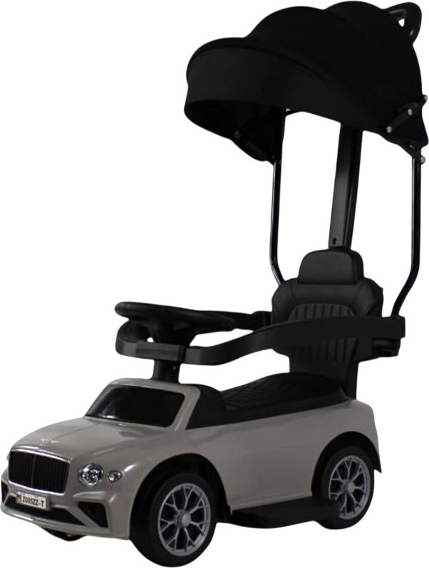 Каталка детская RiverToys Z005ZZ-T (серый)