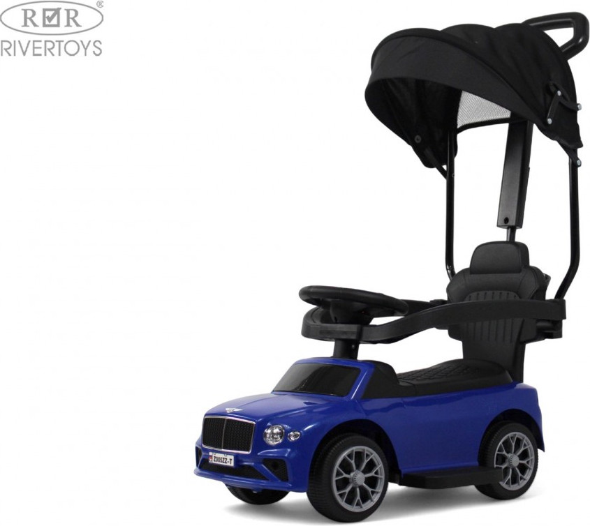 Каталка детская RiverToys Z005ZZ-T (синий) — фото 3