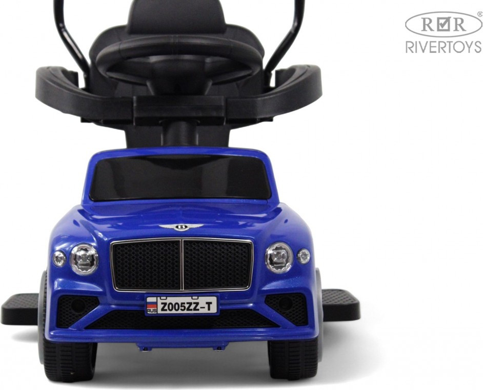 Каталка детская RiverToys Z005ZZ-T (синий) — фото 5