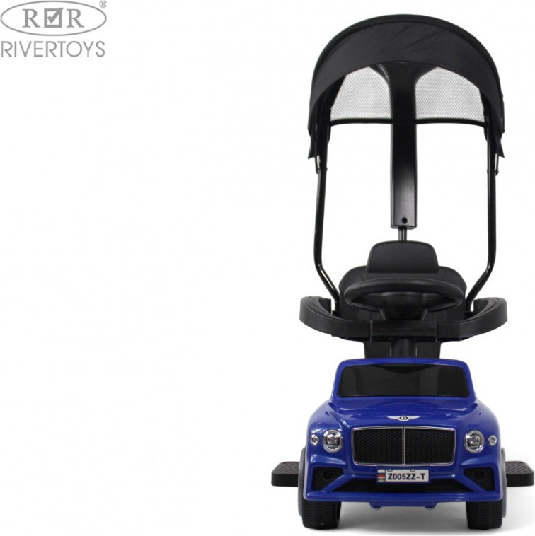 Каталка детская RiverToys Z005ZZ-T (синий) — фото 2