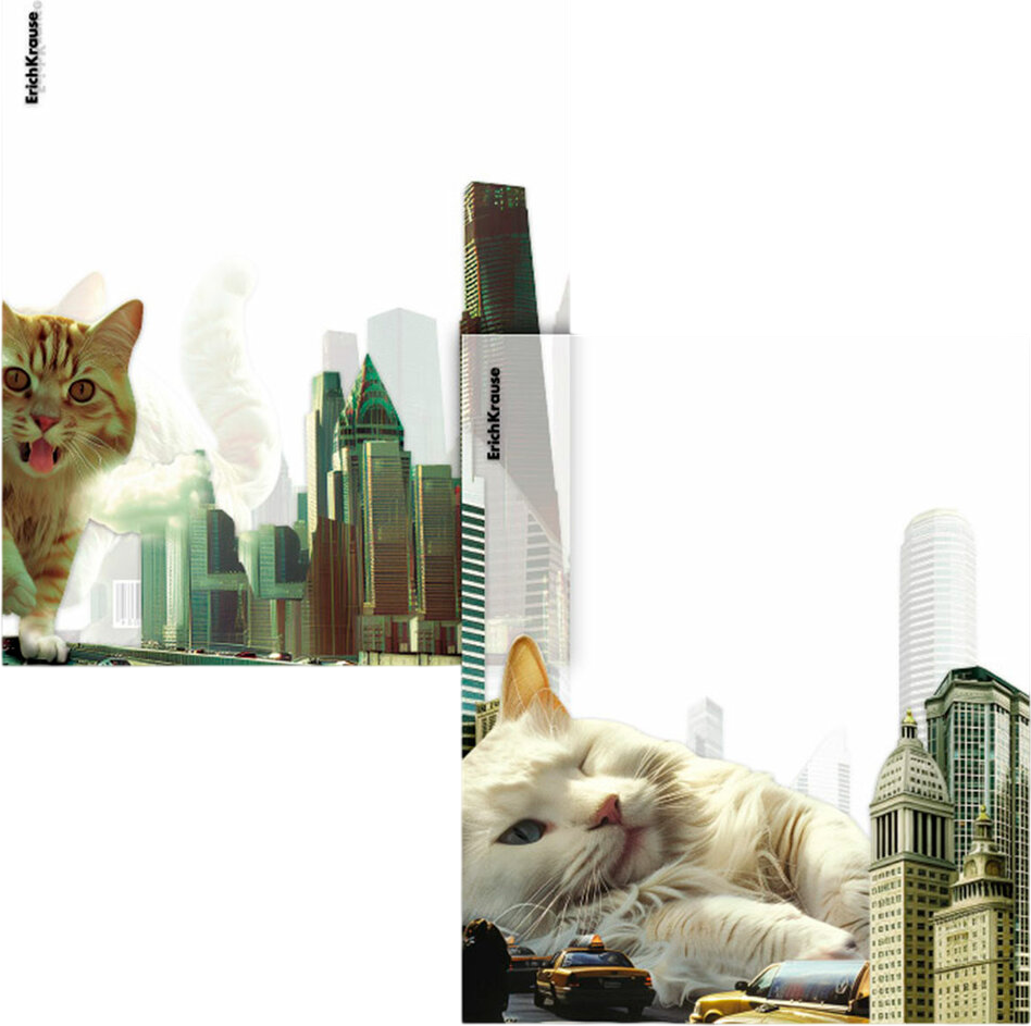 Набор обложек Erich Krause Big City Cats / 63508