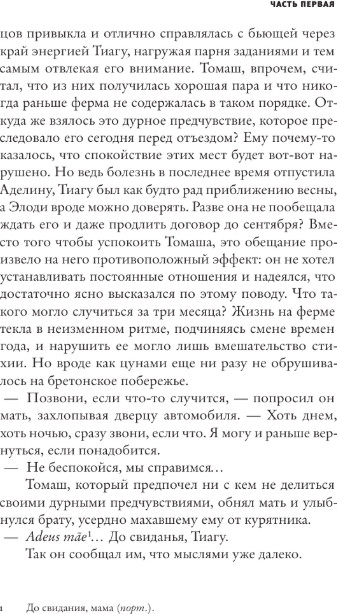Художественная книга АСТ Молчаливые сердца, твердая обложка (Таль Софи) — фото 6