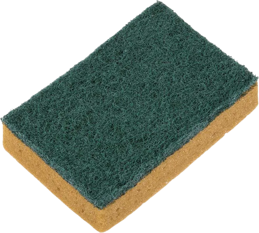 Губка хозяйственная TTS Intensive-T Sponge TKP803000
