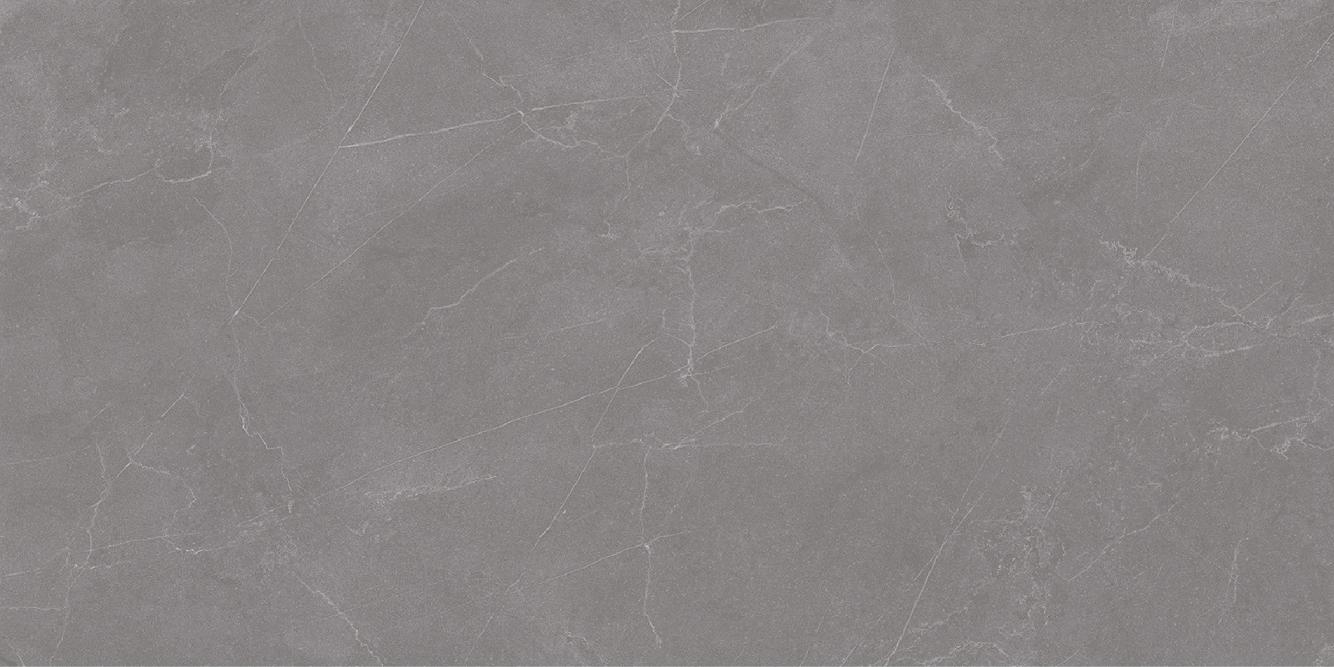 Плитка Rizzi Valencia Grey Matt 99660418 (600x1200)