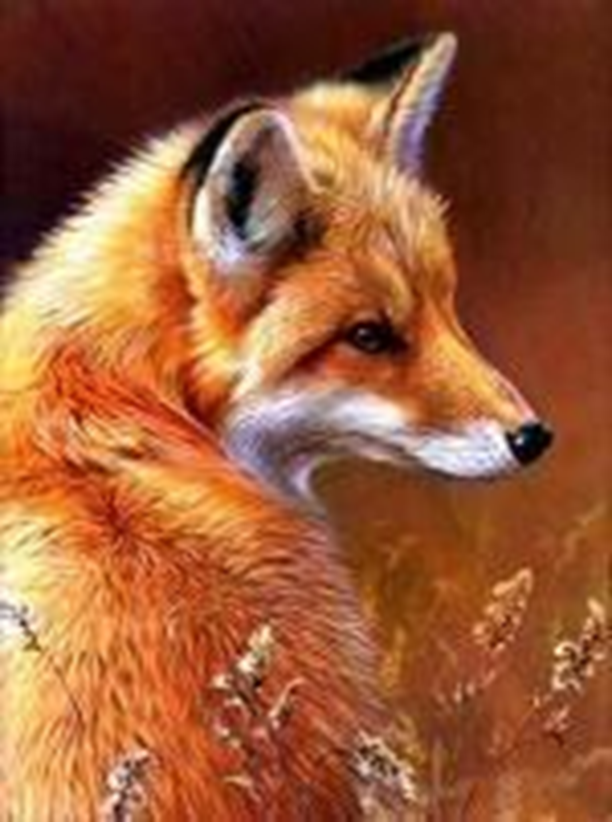 Набор алмазной вышивки ILikeGift Лисица / ОО114542