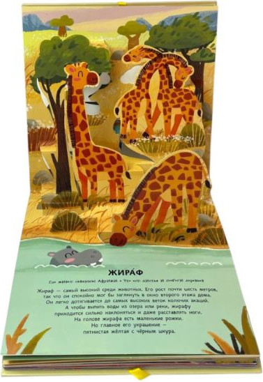 Книжка-панорамка Эксмо Животные. Pop-Up панорамка с крупными буквами, твердая обложка — фото 3