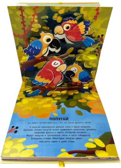 Книжка-панорамка Эксмо Животные. Pop-Up панорамка с крупными буквами, твердая обложка — фото 4