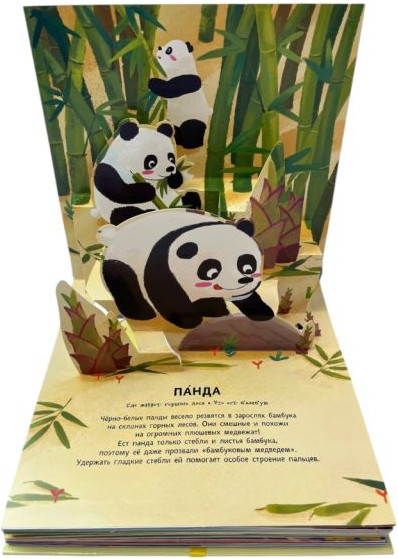 Книжка-панорамка Эксмо Животные. Pop-Up панорамка с крупными буквами, твердая обложка — фото 5