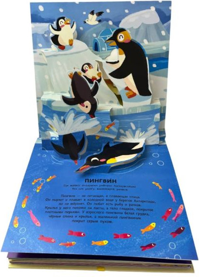Книжка-панорамка Эксмо Животные. Pop-Up панорамка с крупными буквами, твердая обложка — фото 2