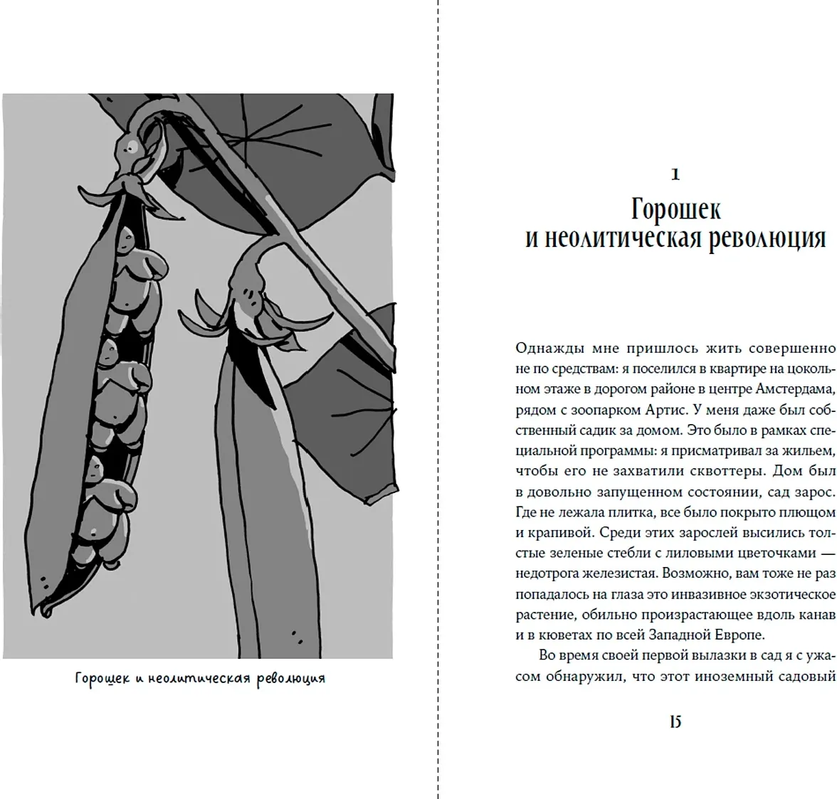 Книга Альпина Краткая история мира в 12 бобах (Брукарт Йоэл 9785006303768) — фото 2