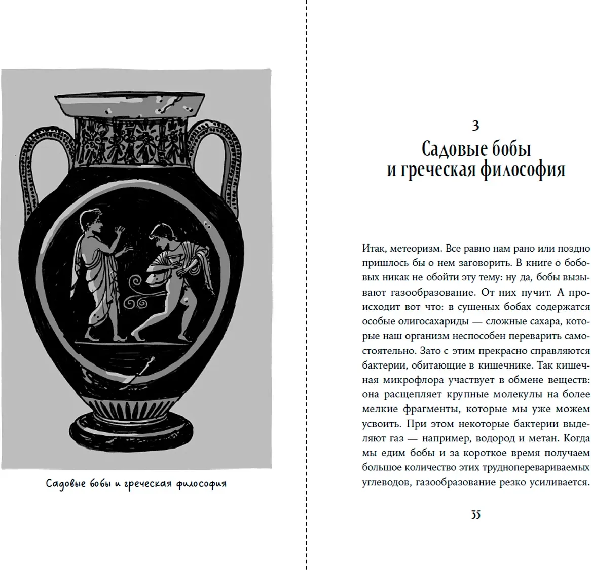 Книга Альпина Краткая история мира в 12 бобах (Брукарт Йоэл 9785006303768) — фото 4