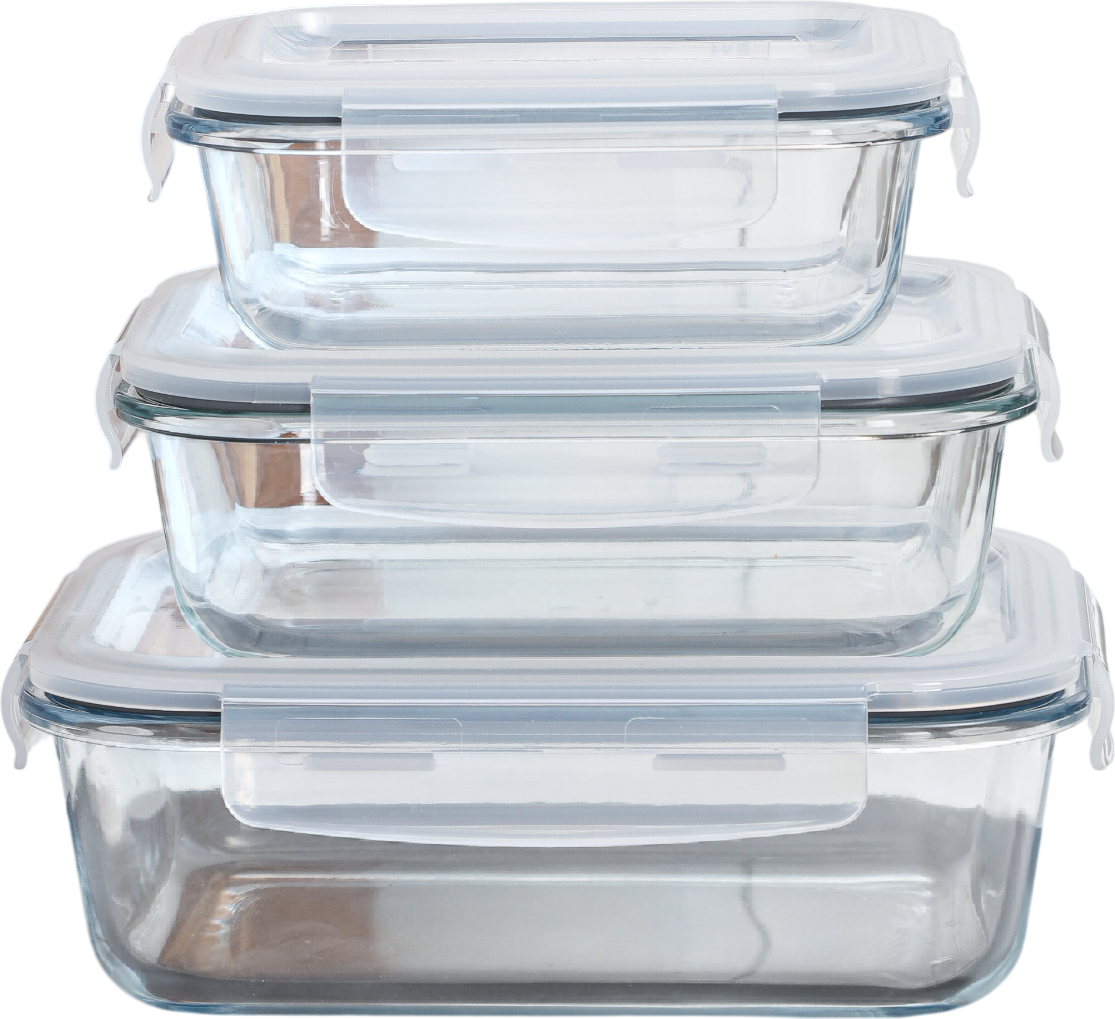 Набор контейнеров SWENSA Fresh Set SWKN-5501-03 (3шт)