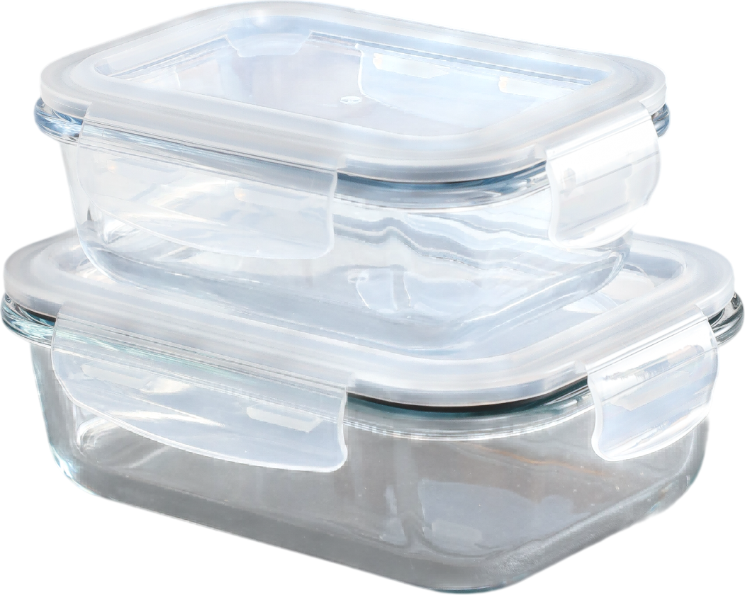 Набор контейнеров SWENSA Fresh Set SWKN-5501-02 (2шт)