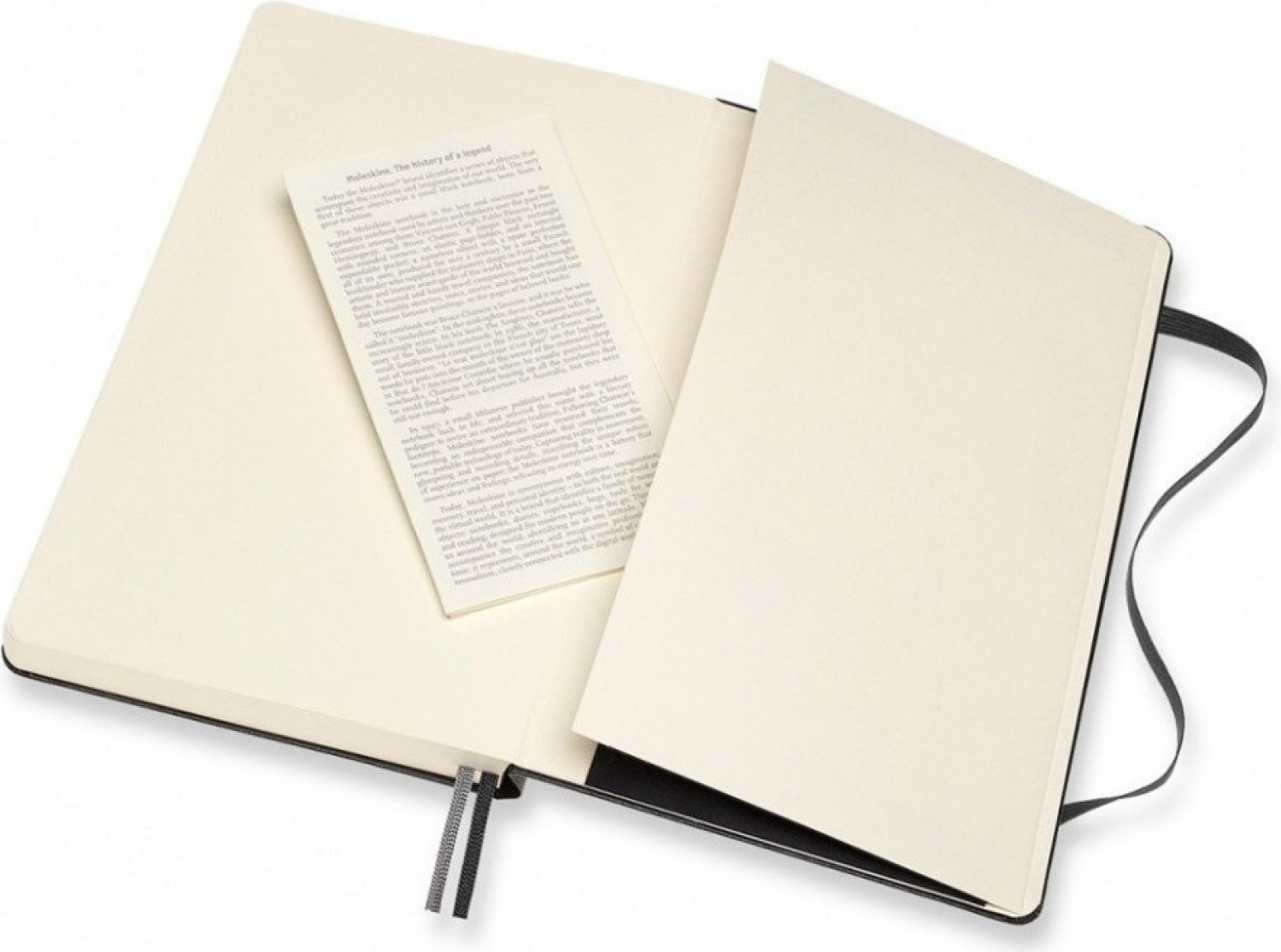 Блокнот Moleskine Classic Expended QP062EXP Large (черный) — фото 4