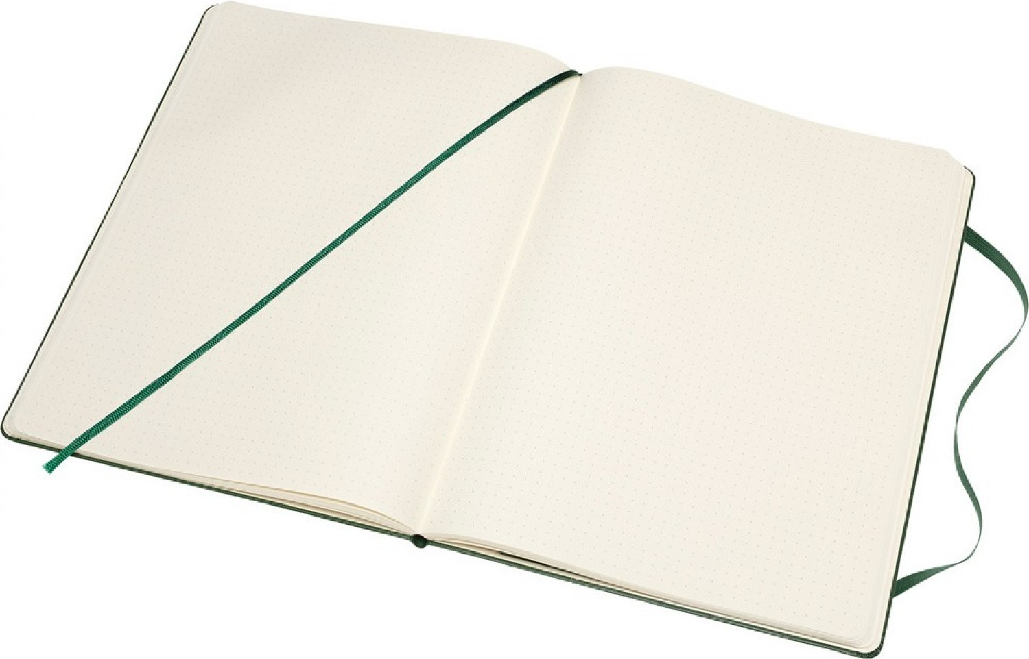 Блокнот Moleskine Classic QP093K15 XLarge (зеленый) — фото 4