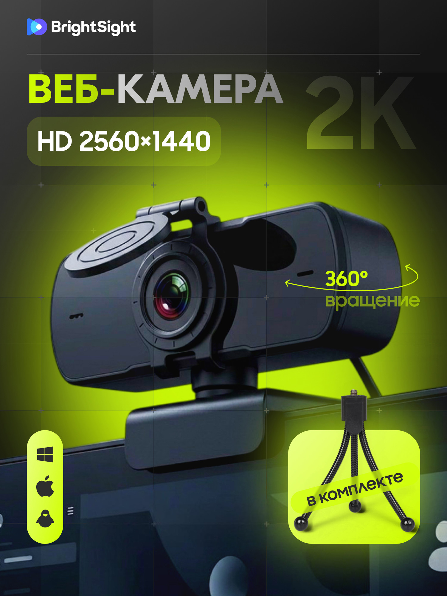 Веб-камера BrightSight TS-01V