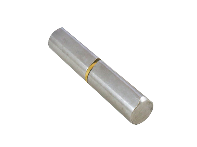 Петля воротная Прогейт 10x60/4 (4in)