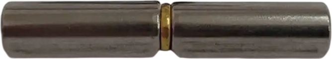 Петля воротная Прогейт 10x65
