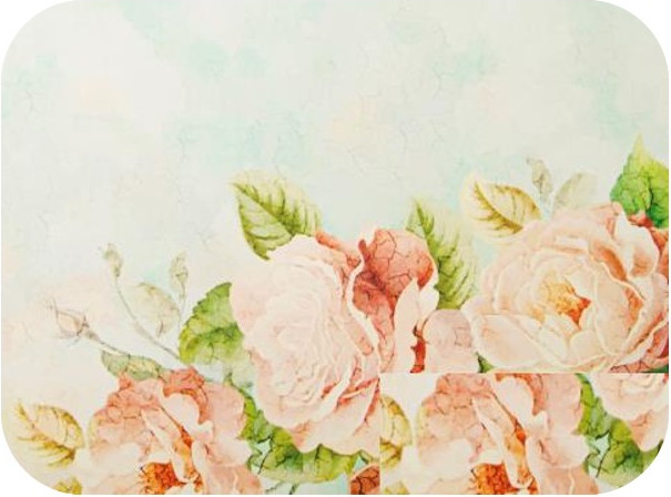 Коврик для сушки посуды SWENSA Fresco 30x40см / SWKN-FRESCO-3040