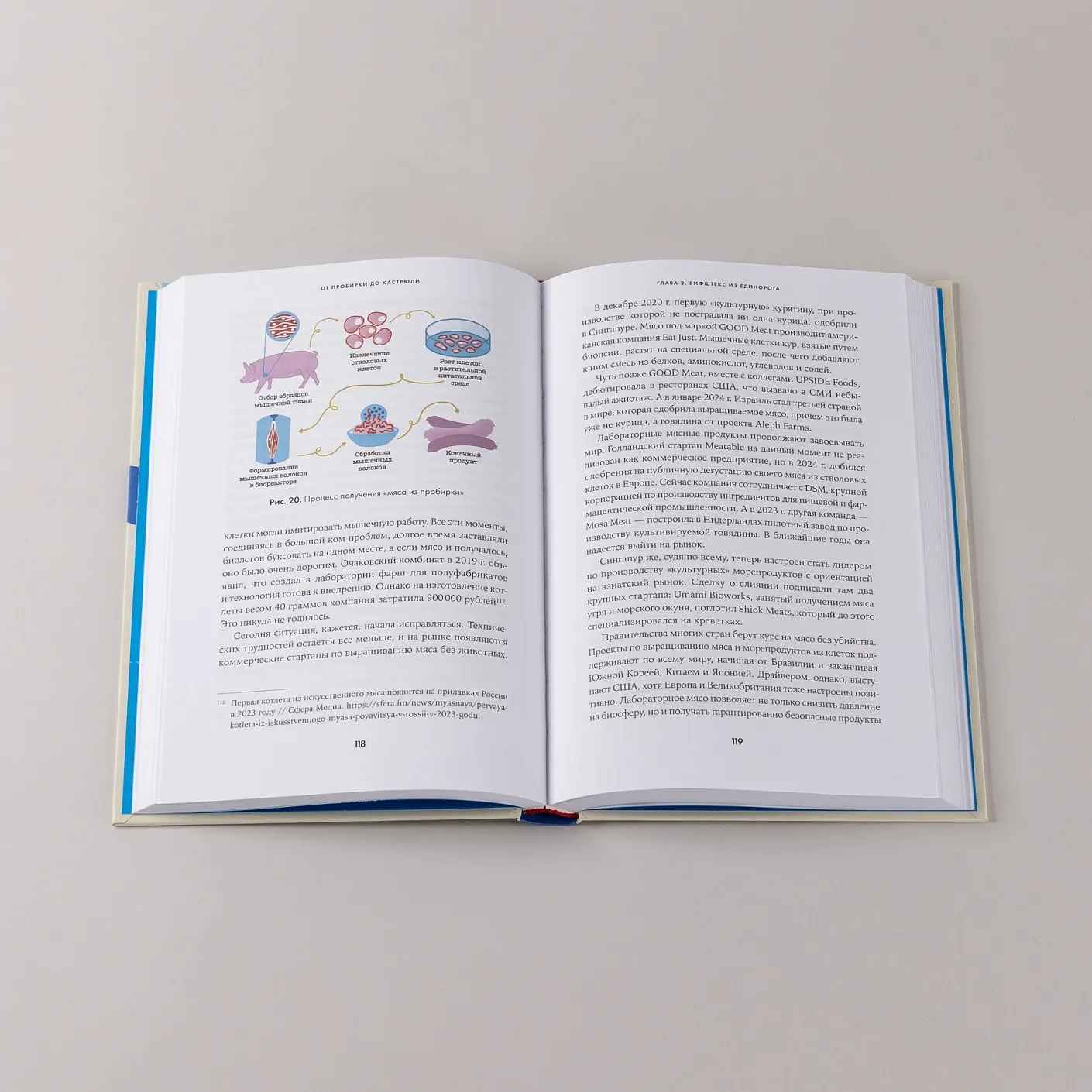 Нехудожественная книга Альпина От пробирки до кастрюли (Волчок Анастасия 9785006301603) — фото 3