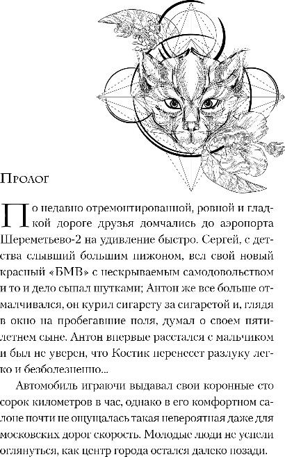 Художественная книга Эксмо Улыбка черного кота, твердая обложка (Рой Олег) — фото 4