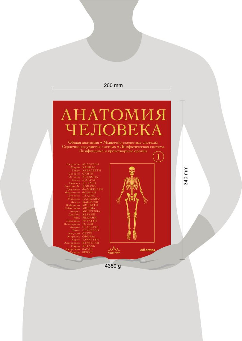Нехудожественная книга МЕДПРОФ Анатомия человека. Том 1 (Анастази Д., Каннас М., Кавалетти Г. 9785042150418) — фото 4