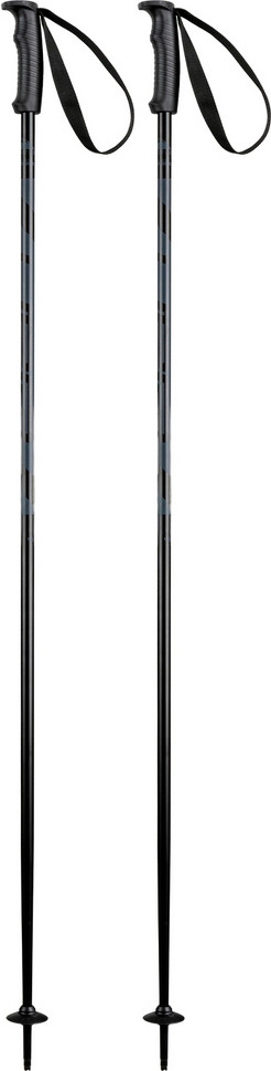 Горнолыжные палки Elan Hotrod 2025-2026 / CD633023-120 (р.120, черный)