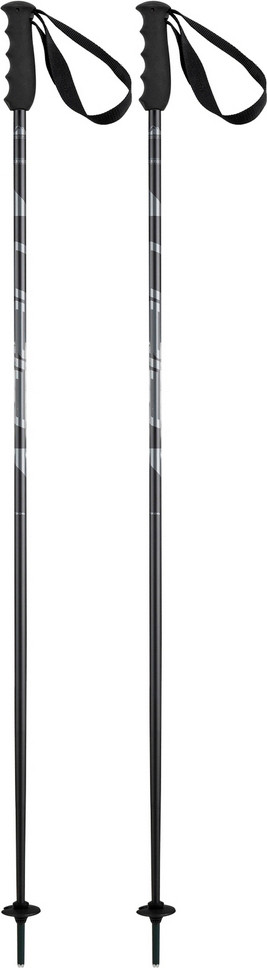 Горнолыжные палки Elan Speedrod 2025-2026 / CD532023-115 (р.115, черный)