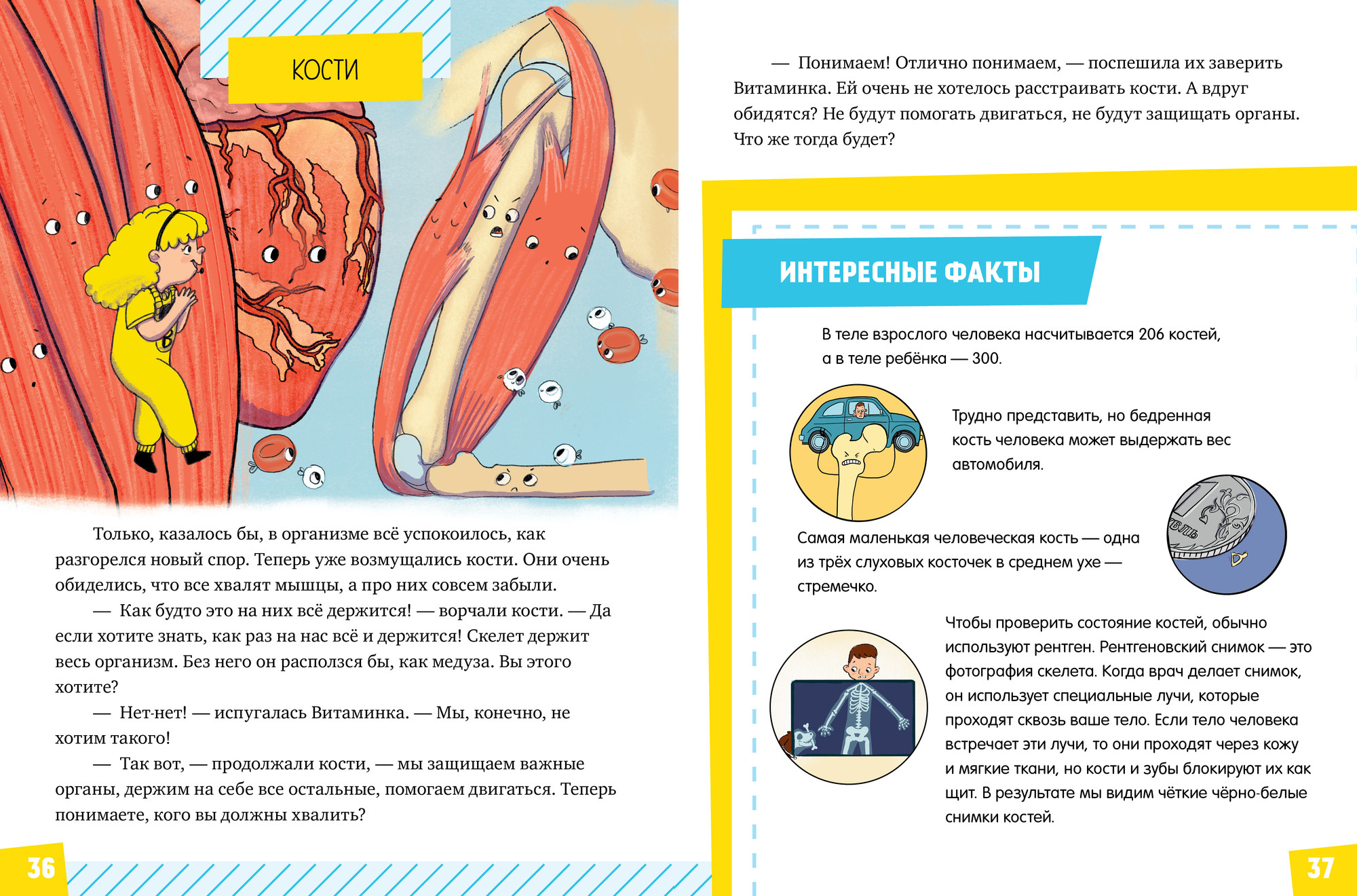 Энциклопедия CLEVER Подарок для почемучки. Тело человека (Ульева Елена) — фото 6