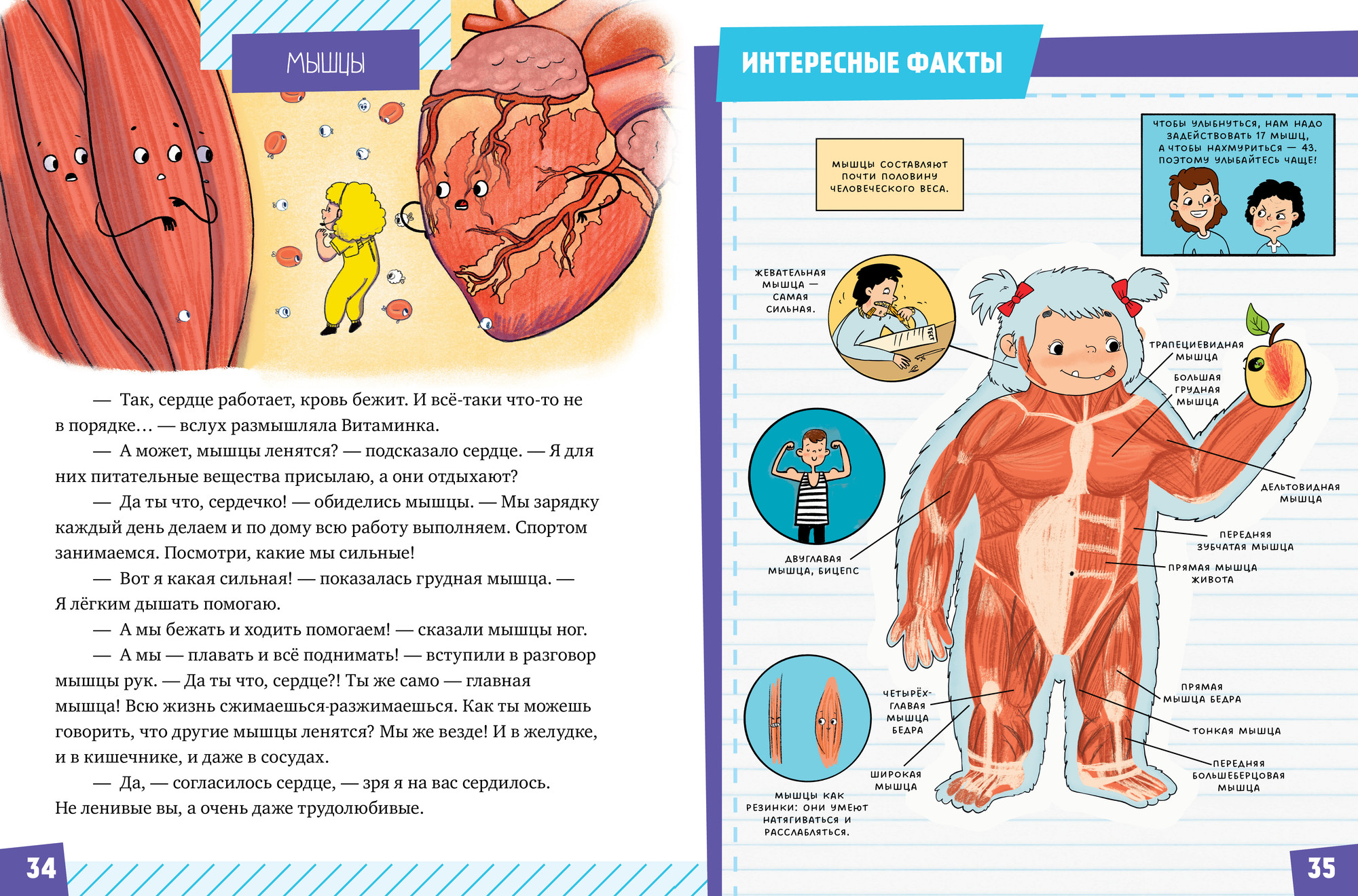 Энциклопедия CLEVER Подарок для почемучки. Тело человека (Ульева Елена) — фото 3
