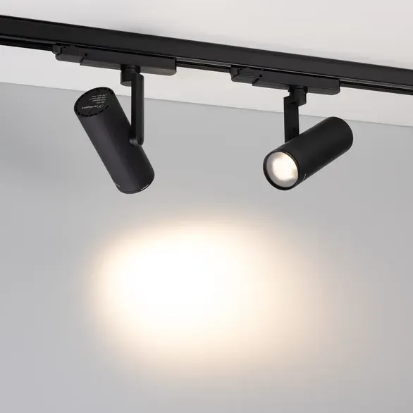 Насадка торцевая для светильника Arlight LGD-ARTIFACT-OVAL-LENS-R65 BK / 057148 — фото 2